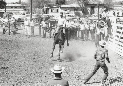 Bare Back Rider at the Rodeo