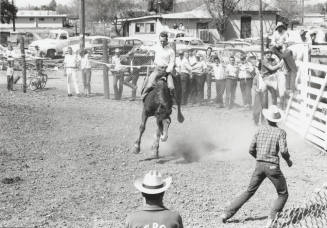 Bare Back Rider at the Rodeo