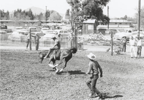 Bare Back Rider at the Rodeo