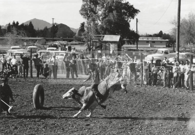 Bull Rider Loses His Hat at the Rodeo