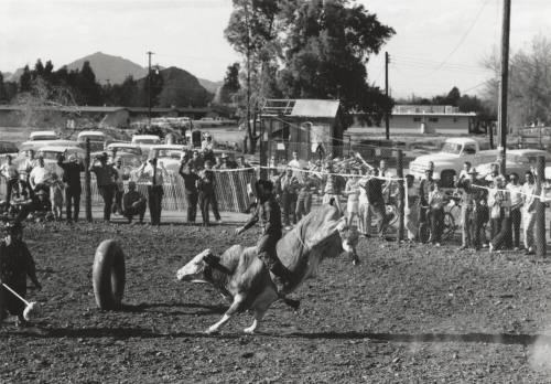 Bull Rider Loses His Hat at the Rodeo
