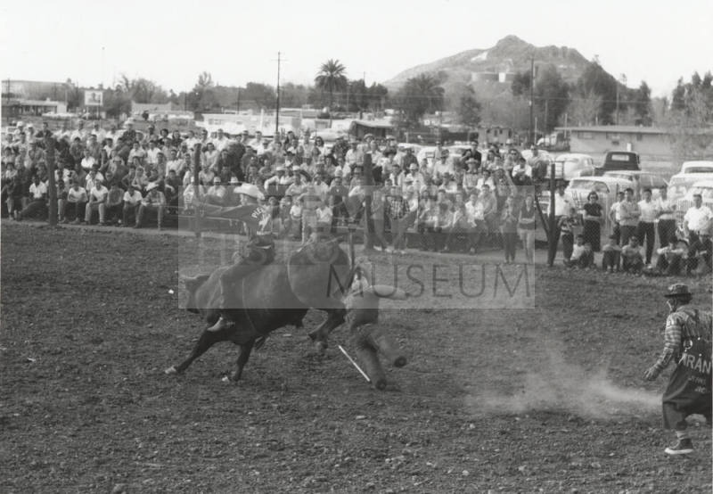 Bull Rider at the Rodeo