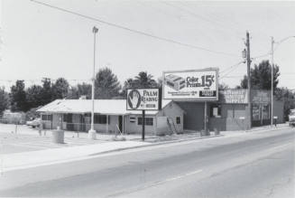 Mrs. Ann Spiritual Palm & Card Reader - 1123 E. Apache Boulevard, Tempe, Arizona