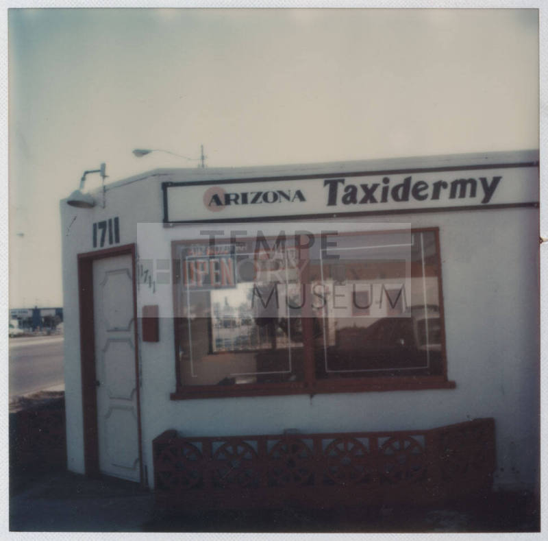 Arizona Taxidermy - 1711 East Apache Boulevard, Tempe, Arizona