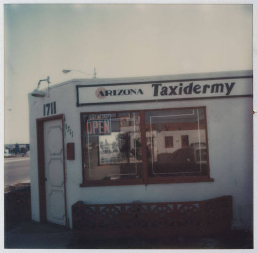 Arizona Taxidermy - 1711 East Apache Boulevard, Tempe, Arizona