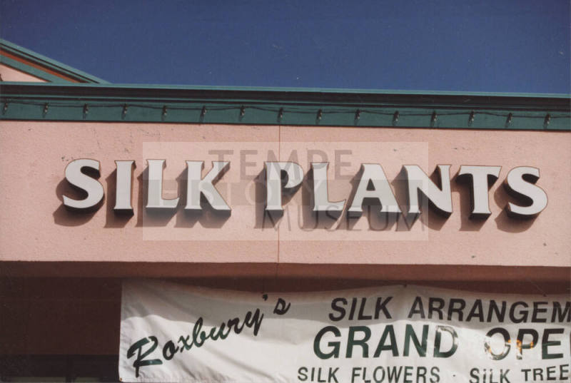 Roxbury's Silk Arrangement, 2700 W. Baseline Road, Tempe, Arizona