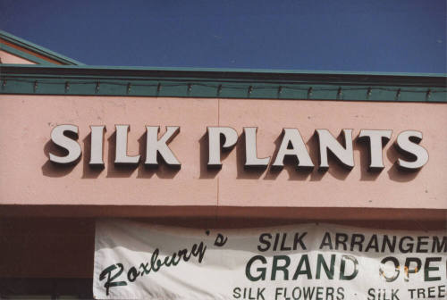 Roxbury's Silk Arrangement, 2700 W. Baseline Road, Tempe, Arizona