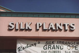 Roxbury's Silk Arrangement, 2700 W. Baseline Road, Tempe, Arizona