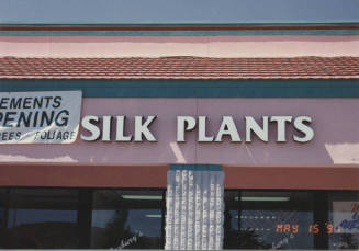 Roxbury's Silk Arrangements, 2700 W. Baseline Road, Tempe, Arizona