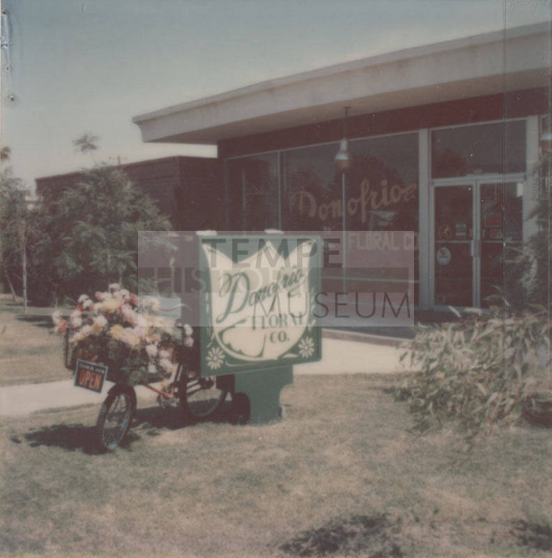 Donofrio Floral Company - 601 East Broadway Road  - Tempe, Arizona