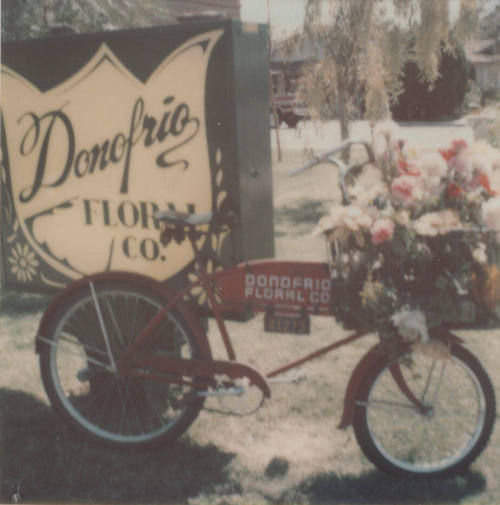 Donofrio Floral Company - 601 East Broadway Road  - Tempe, Arizona