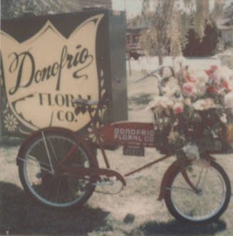 Donofrio Floral Company - 601 East Broadway Road  - Tempe, Arizona