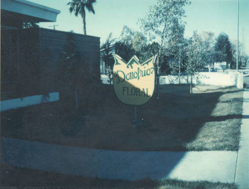 Donofrio Floral Company - 601 East Broadway Road  - Tempe, Arizona