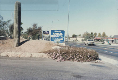 University Animal Hospital - 925 West Broadway Road - Tempe, Arizona