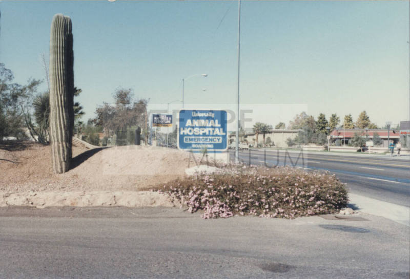 University Animal Hospital - 925 West Broadway Road - Tempe, Arizona