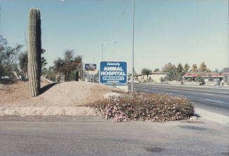 University Animal Hospital - 925 West Broadway Road - Tempe, Arizona