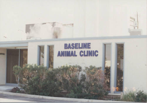 Baseline Animal Clinic - 925 West Broadway Road - Tempe, Arizona