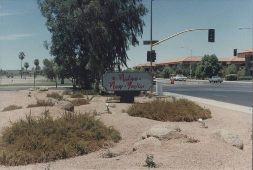 Native New Yorker Restaurant - 1301 East Broadway Road - Tempe, Arizona