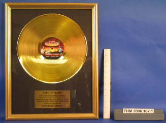 P.F. Chang's Rock 'N' Roll Arizona Marathon Gold Record