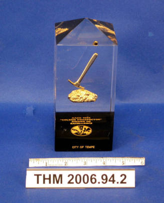 Golden Prospector Award