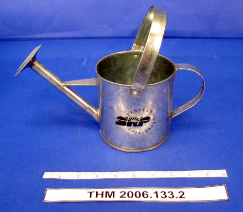 Watering Can Centerpiece, SRP