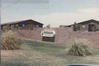 Pine Shadows Apartments - 4839 S. Darrow Drive - Tempe, Arizona