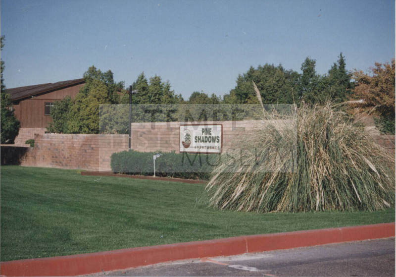 Pine Shadows Apartments - 4839 S. Darrow Drive - Tempe, Arizona