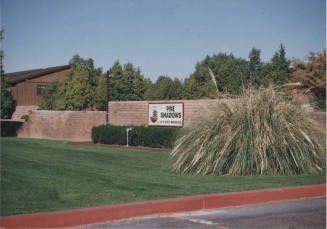 Pine Shadows Apartments - 4839 S. Darrow Drive - Tempe, Arizona