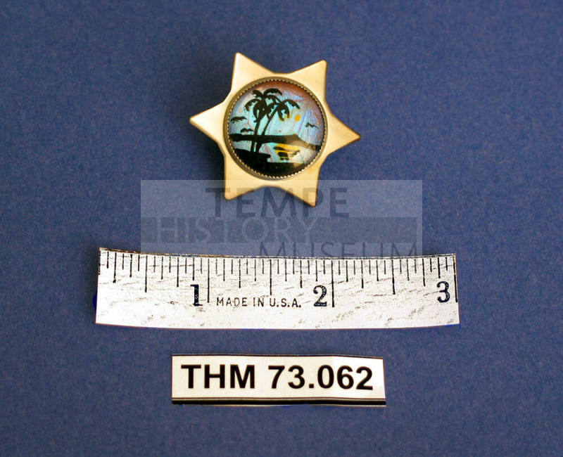 Six-pointed star pin with tropical scene