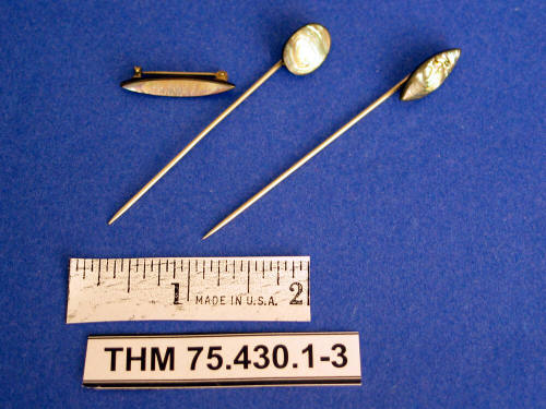 Pin, Stick