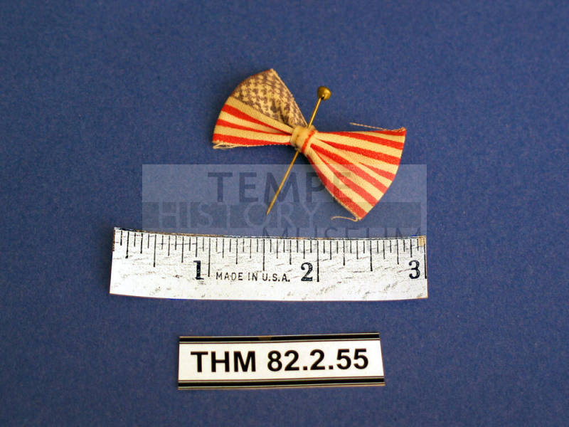 Pin