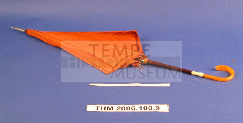 Orange, brown Rain Umbrella