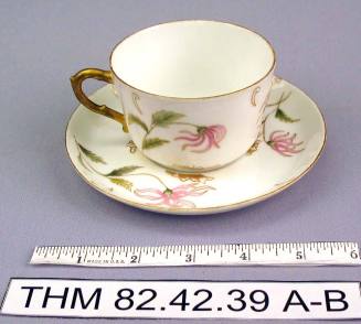 Haviland Pocelain Cup and Saucer