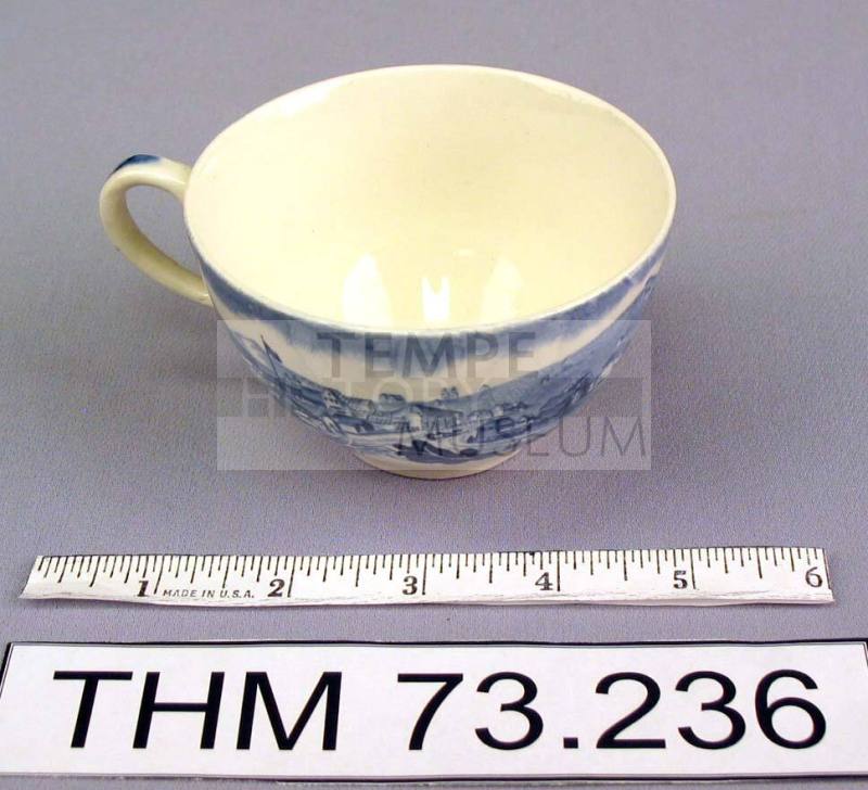 Staffordshire Type Teacup