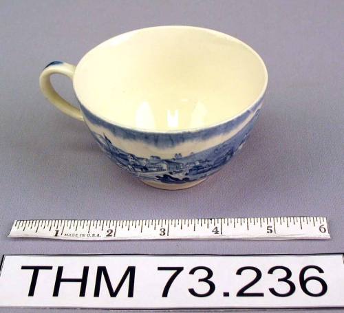 Staffordshire Type Teacup
