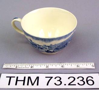 Staffordshire Type Teacup