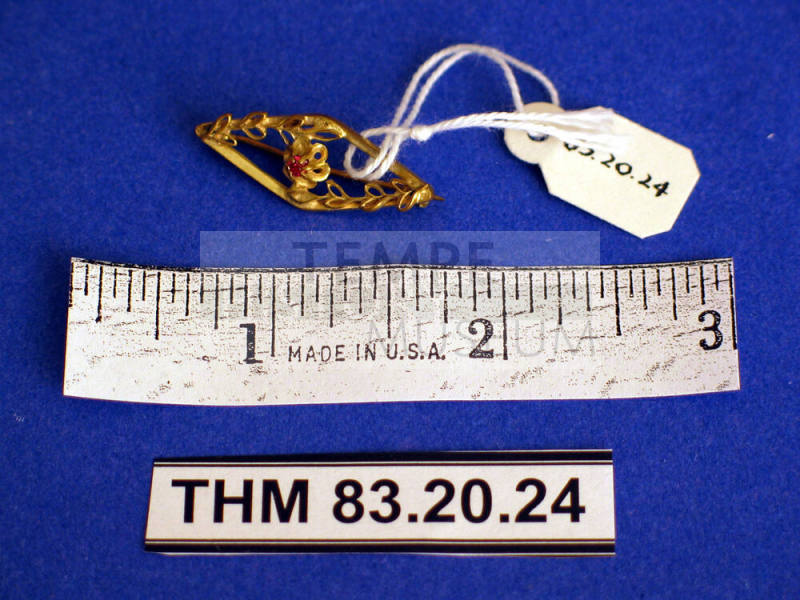 Gold diamond shaped pin