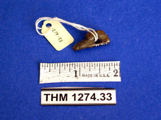 Pendant, Fetish, Stone-Carved