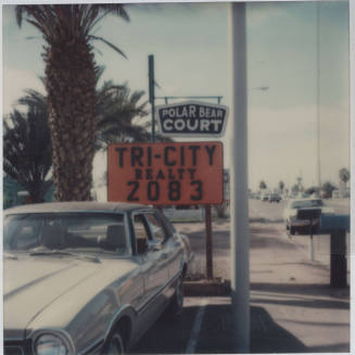 Polar Bear Court - 2075 East Apache Boulevard, Tempe, Arizona