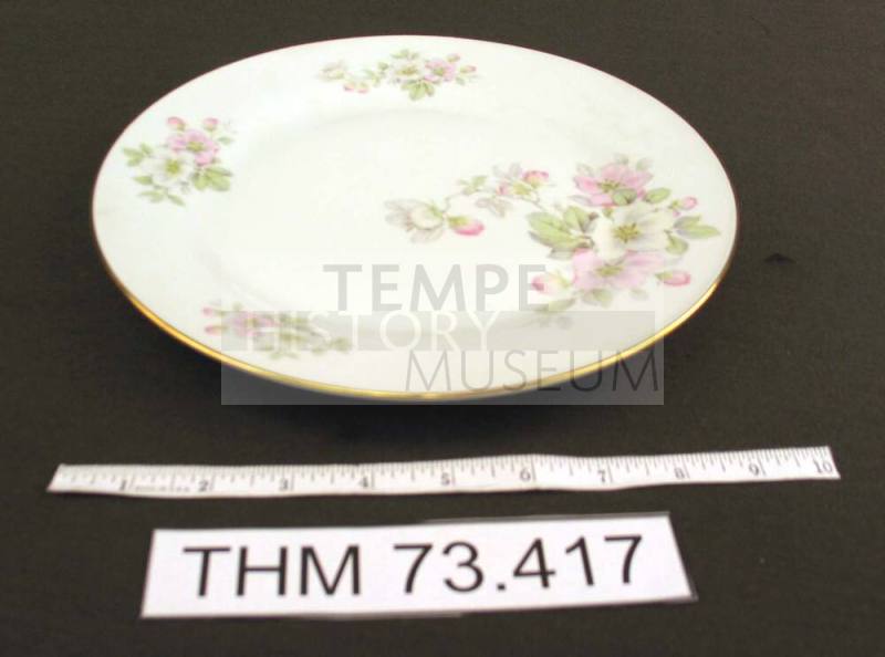 Dinner Plate with Apple Blossom Design
