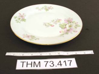 Dinner Plate with Apple Blossom Design