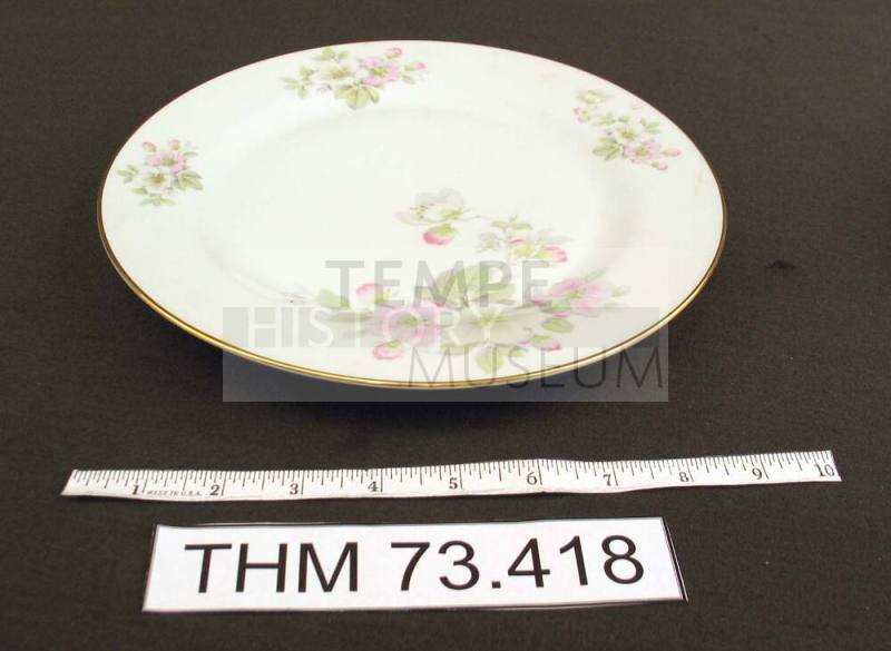 Dinner Plate with Apple Blossom Design