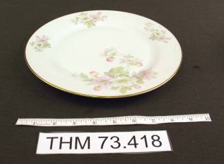 Dinner Plate with Apple Blossom Design