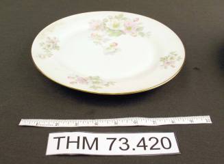 Dinner Plate with Apple Blossom Design