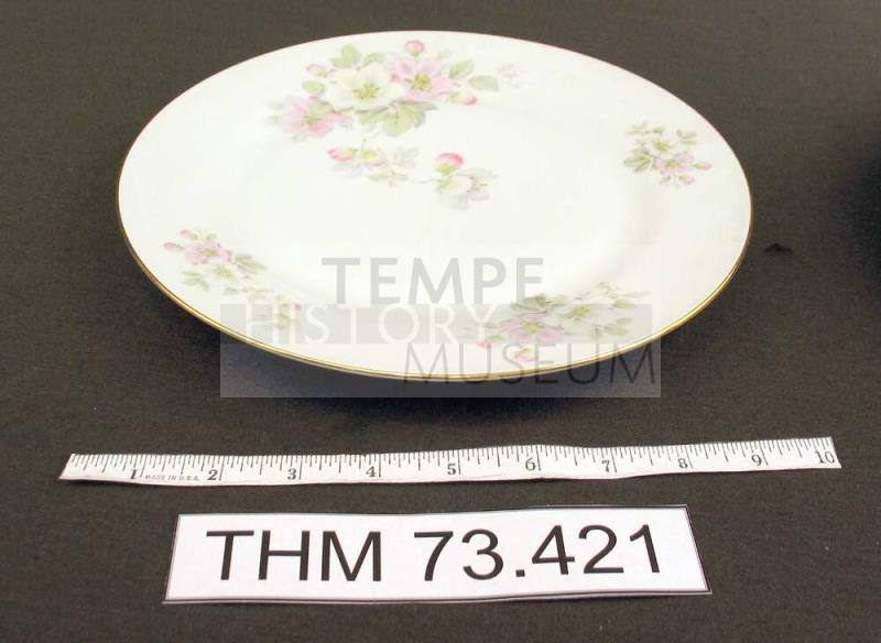 Dinner Plate with Apple Blossom Design