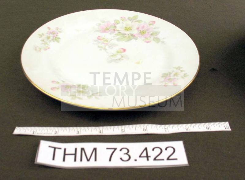 Dinner Plate with Apple Blossom Design