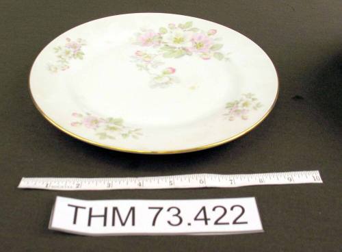 Dinner Plate with Apple Blossom Design