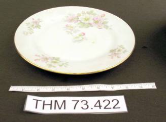 Dinner Plate with Apple Blossom Design