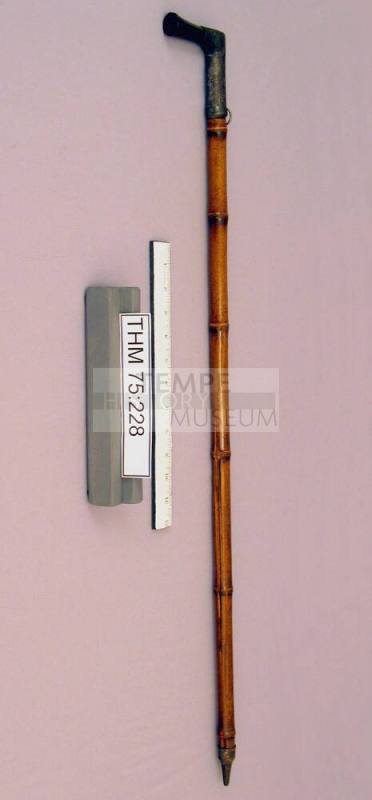 Walking Stick Cane Shotgun