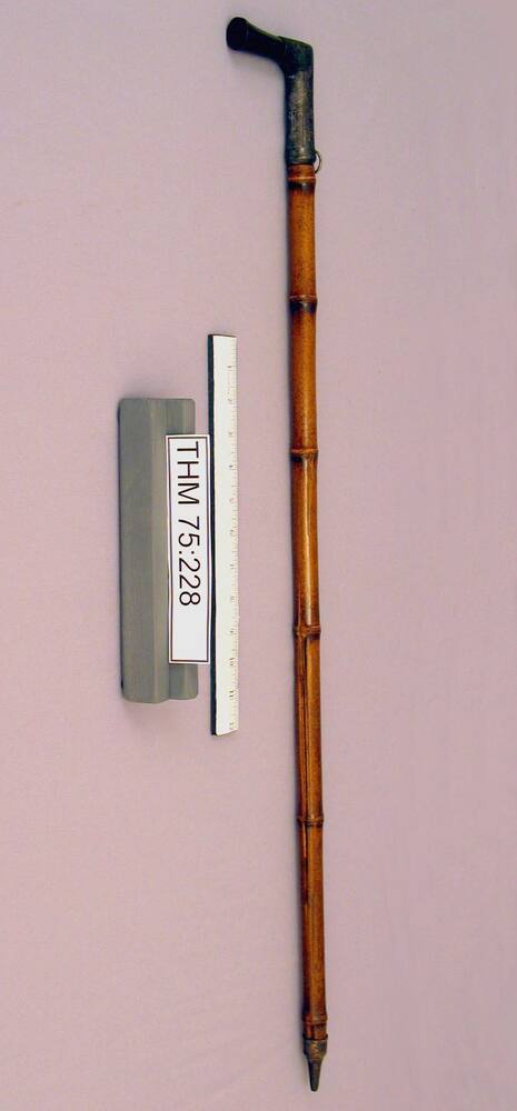 Walking Stick Cane Shotgun